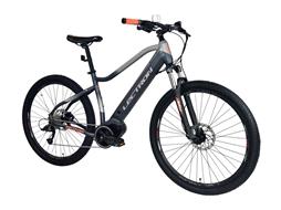 bicykel 29 LECTRON Esconder MX 19'